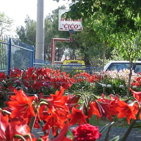 Cico Starigrad Paklenica Стариград-Пакленица