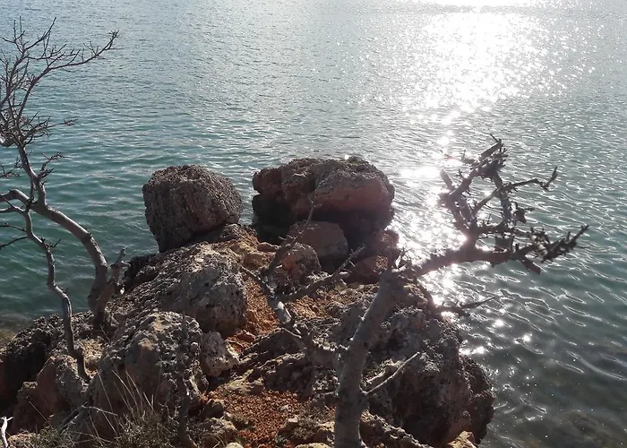 Cico Starigrad Paklenica Apartment *