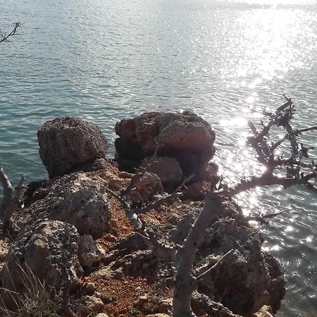 Cico Starigrad Paklenica Apartment *